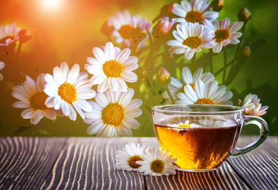 一杯甘菊茶加甘菊花