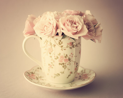 茶杯里的牡丹