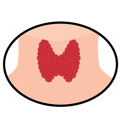 甲状腺