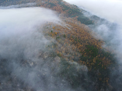 多雾的山