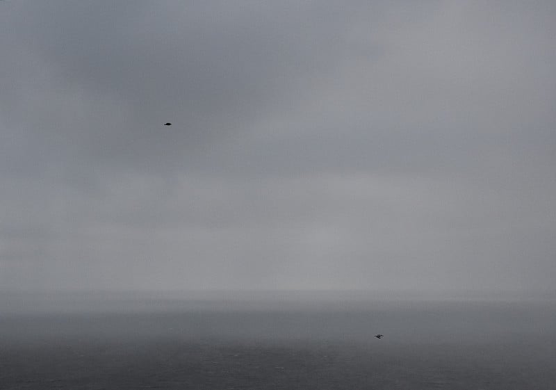 鸟儿在暴风雨中飞翔在海上