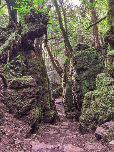 神奇的Puzzlewood