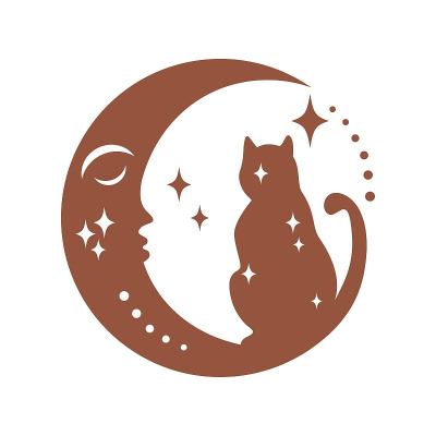 魔术波西米亚脸新月与猫，星孤立在白色背景。