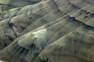 画山