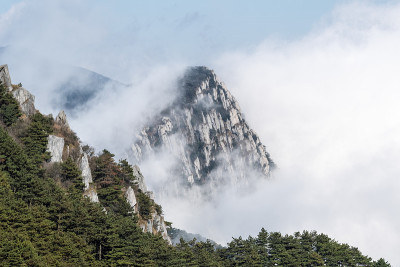 云雾在山谷和美丽的山峰