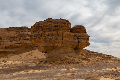 沙特阿拉伯Al Ula附近的Mada'in Saleh (Al- hijr & Hegra)考古遗址