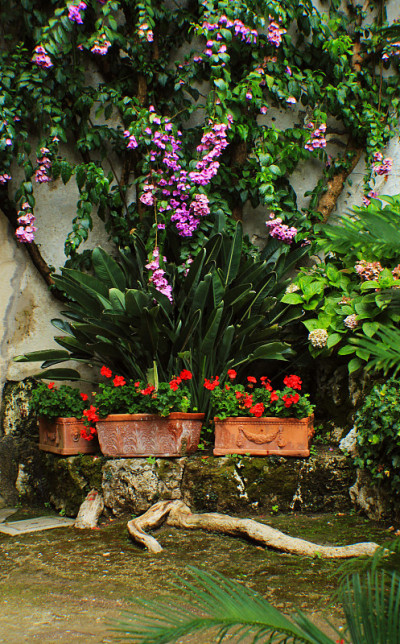 来自Hameau de la Reine的花园细节