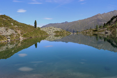 布雷奇西