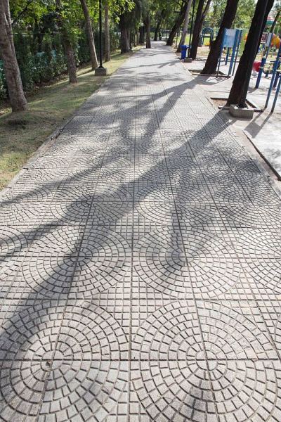 绿色的草地上的人行道