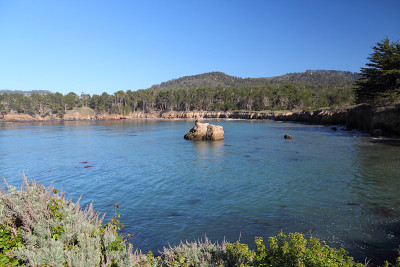 Point Lobos State Reserve