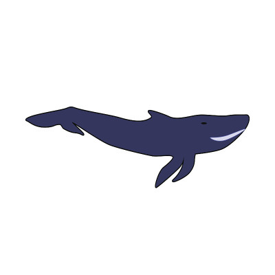 Blue Whale Isolated on a White Background