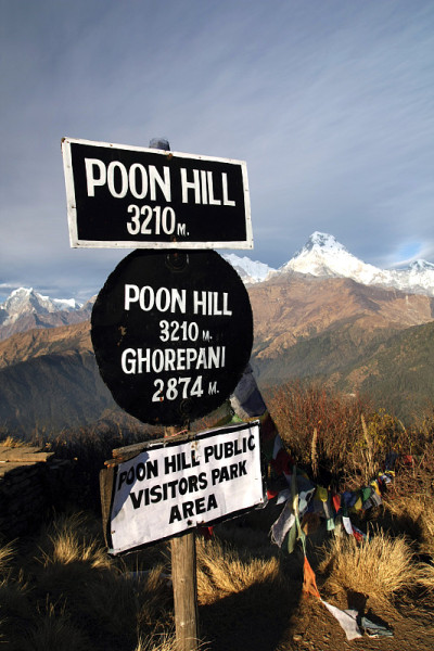 Poon山