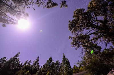 夜空中的星星