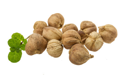 小豆蔻
