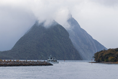 米尔福德湾，峡湾，南岛，新西兰