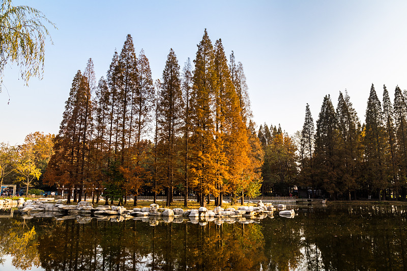 中国山东省青岛市中山公园的秋天