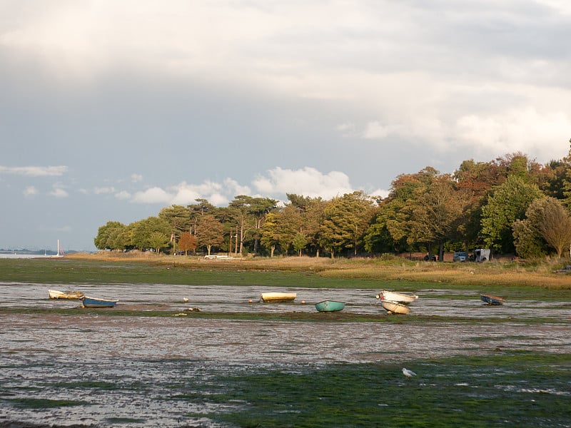 入海口景，人工树与泊船，潮云景观