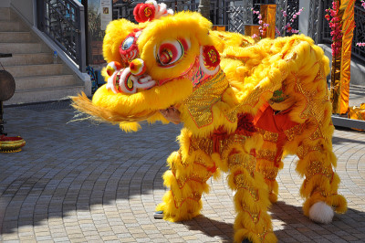 中国传统的舞狮服装