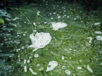 泡在水