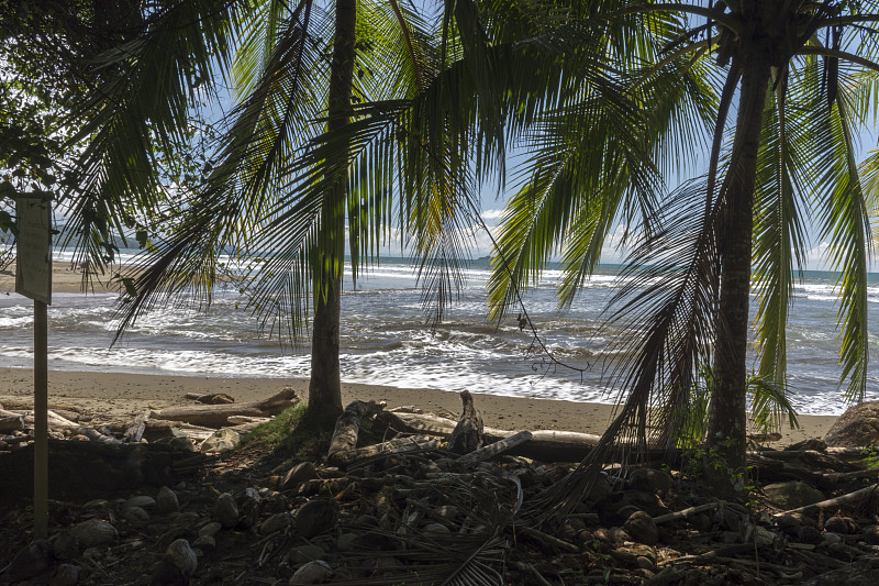 Bahia Ballena Pacifico Sur de Costa Rica