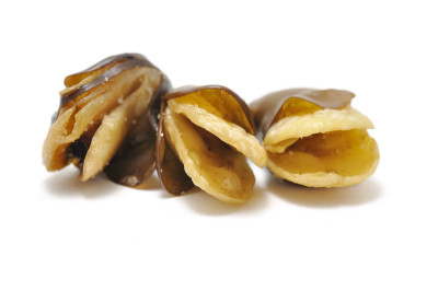 蚕豆