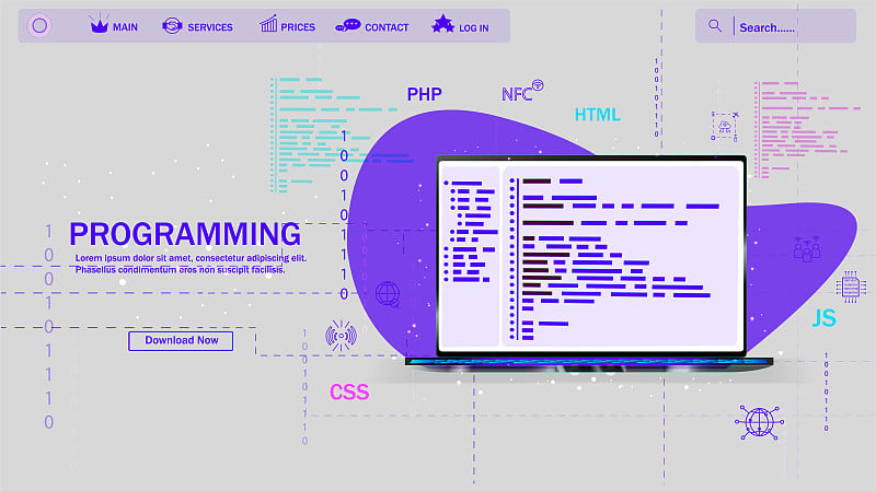 软件，网页开发，编程概念。在笔记本电脑屏幕上的抽象编程语言和程序代码。Web开发、编码和编程。矢量插