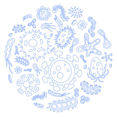 圆形平面病毒和微生物插图的载体收集。细菌的图标集。彩色卡通变形虫和杆菌。美丽的微生物集合。培养皿的概