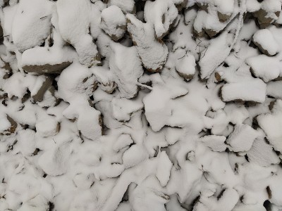 石头和雪
