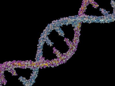 DNA分子位于黑色背景的前面。抽象拼贴画。3 d