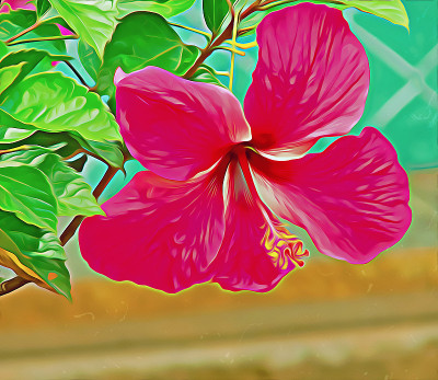 油画芙蓉花