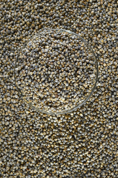 Bajra(珍珠粟)玻璃碗