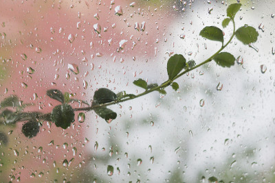 雨露落在车窗上