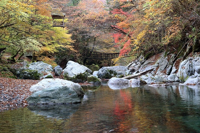 秋天的奥桂屋、一浦桥、延安(德岛县)