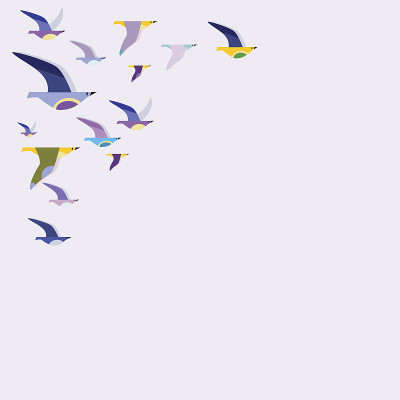 矢量插图的彩色鸟在电线上。