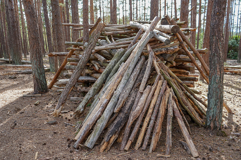 在树林里用原木和树枝搭建的小屋