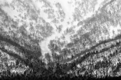 美丽的山区冬季景观与树木和雪。日本北海道的自然。冬天的山。在亚洲的冬季旅行。