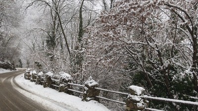 花雪场