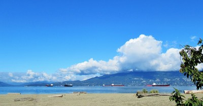 美丽的秋天自然风光在温哥华杰里科海滩