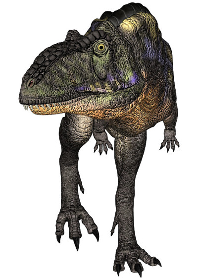 3D渲染恐龙Aucasaurus在白色