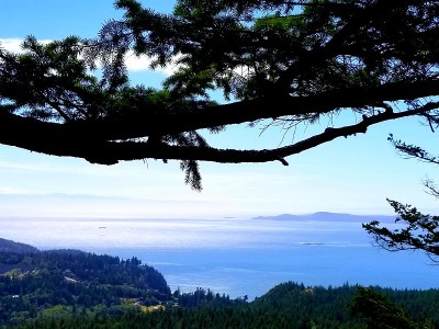西澳惠德比岛的伊利山