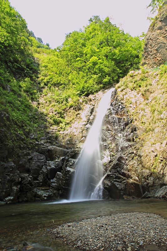 白神山地