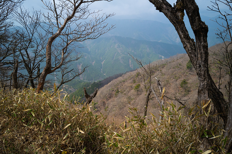 日本，石原慎太郎，春天在山上远足