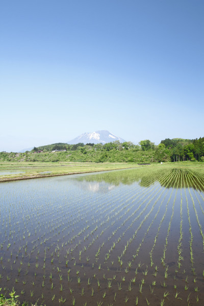 岩手山和田园景观