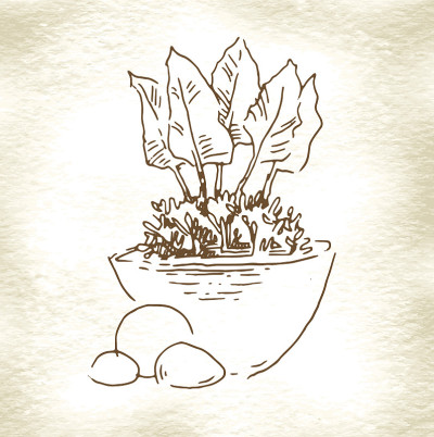 花园元素草图