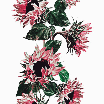 向日葵无缝的花环。