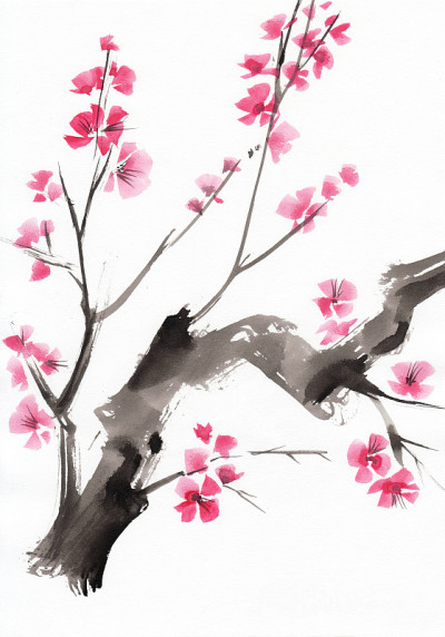 树开花