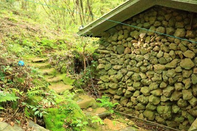 森林，Hallasan，山谷，石头，苔藓门，苔藓楼梯，苔藓，寺庙，Hyonom，