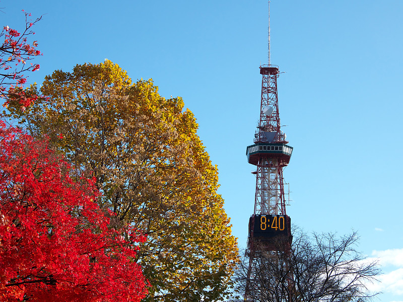 日本北海道札幌市御渡公园冬天的清晨景象