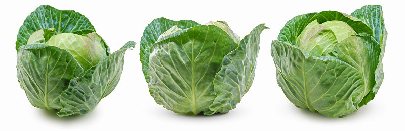 孤立在白色背景上的绿色卷心菜蔬菜组