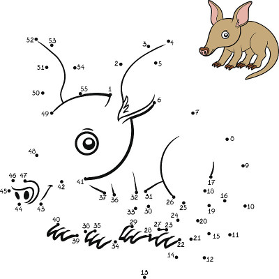 数字游戏,Aardvark